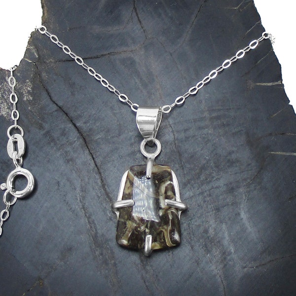 Fossil Turritella Agate Necklace in Sterling Silver - Small Fossil Shell Pendant With Chain