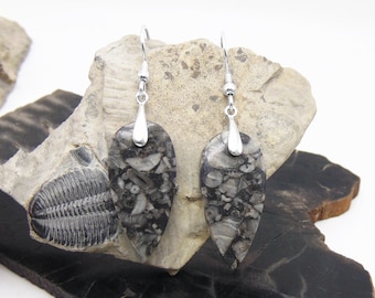 Crinoid Fossil Earrings Sterling Silver - Dangle Earrings - Fossil Jewelry - Black and White