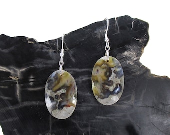 Fossil Coral Earrings in Sterling Silver - Agatized Coral Dangle Drop Earrings