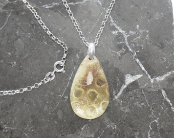 Fossil Coral Necklace in Sterling Silver - Fossil Pendant With Chain