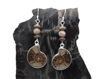 Earrings: Set Stones