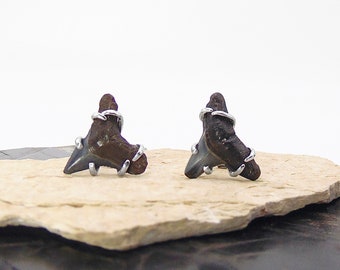 Fossil Shark Tooth Earrings in Sterling Silver - Copper Shark Stud Stud Earrings - Fossil Jewelry