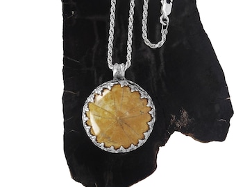 Fossil Sea Urchin Necklace in Sterling Silver - Fossil Jewelry - Handmade Fossil Pendant with Chain