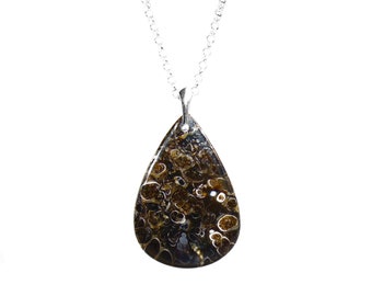 Fossil Necklace - Sterling Silver Fossil Turritella Agate Pendant - Natural History