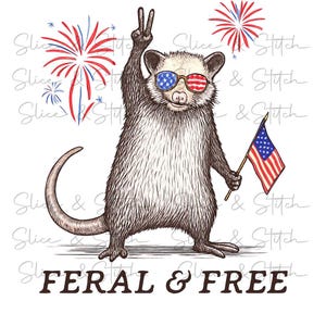 Wild und kostenlos PNG, lustig Vaterländisch, USA Stolz, PNG, Cricut Jpeg 4. Juli Opossum Drucken Dann Niedlich Spaß Feuerwerk Unabhängigkeitstag geschnitten