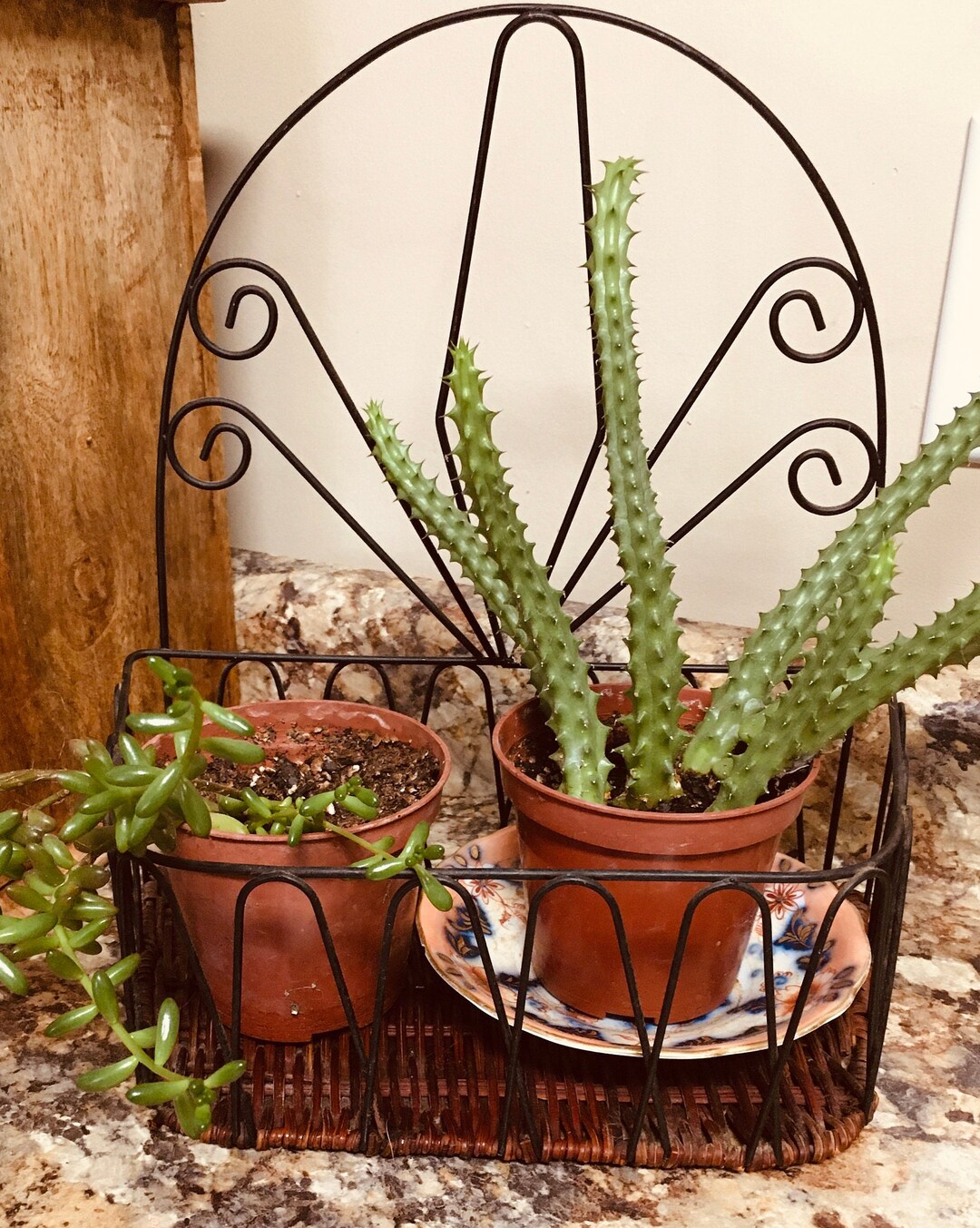 Metal Wire Wicker Hanging Planter Counter Display Basket Fruit Basket