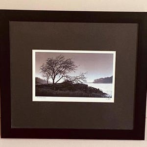 May include: A black framed photograph of a grayscale landscape with two trees in the foreground and a body of water in the background.