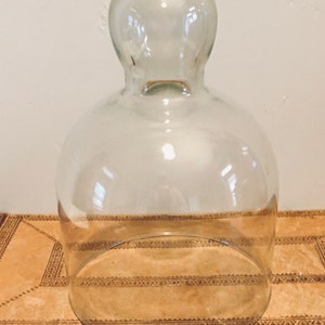 vintage - Petite - Cloche à fromage en verre - Couvercle - Cloche - Terrarium - Décoration d&#39;intérieur