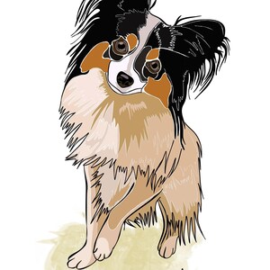 D002: Continentale speelgoedspaniël (Papillon)