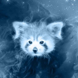 May include: A digital art print featuring a red panda in a nebula-like setting. The artwork is predominantly blue with white highlights, giving the impression of a cosmic scene. The image includes the text "HiQ High Quality" and the website address "www.digitdreams.etsy.com".