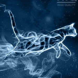 S047: SilverTabby Cat