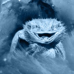 S017b: Dragon Lizard, portrait