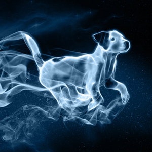 Pode incluir: Uma criatura branca translúcida com forma de cão com uma cauda vaporosa, correndo por um céu estrelado azul escuro. A criatura é feita de fumaça ou névoa, e sua forma está ligeiramente desfocada. O fundo é de um azul profundo com estrelas brancas.