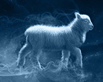 S640: Lamb