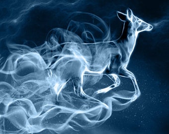 S045: Doe