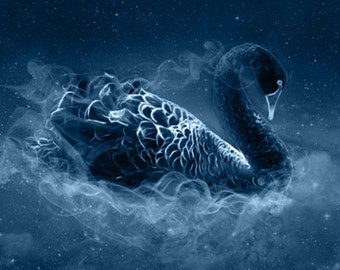 S106: Black Swan