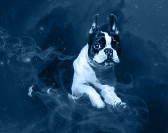 S436: Shamanic Guardians - Boston Terrier