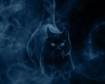 S452: Black Cat