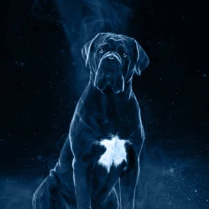 May include: A digital illustration of a black dog with a white patch on its chest, sitting in a blue and white nebula. The dog is outlined in white and appears to be fading into the nebula. The text "HIQ HIGH QUALITY" is in the upper right corner of the image. The text "www.digitdreams.etsy.com" is at the bottom of the image.