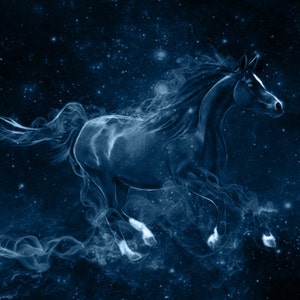 S104: Bay Mare