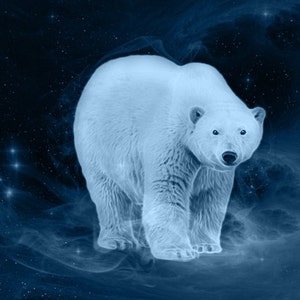 S186: Polar Bear