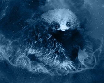 S451: Baby Echidna