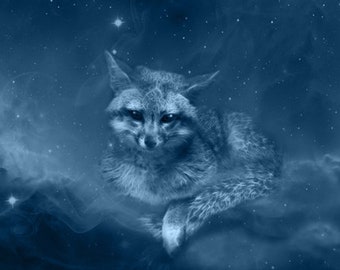 S209: Gray Fox