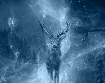 S641: Winter Stag