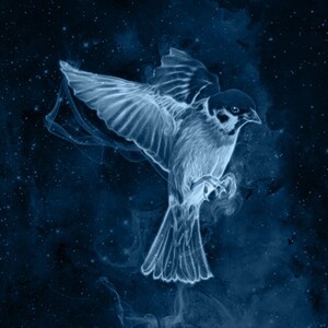 May include: A digital illustration of a bird flying through a starry night sky. The bird is rendered in a translucent blue, giving the impression of smoke or a ghost. The background is a deep blue with white stars.