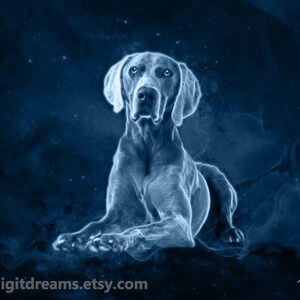 Puede incluir: Una impresión de arte digital de un perro Braco Alemán de Pelo Corto blanco brillante sobre un fondo de cielo nocturno estrellado azul oscuro. El perro está acostado con la cabeza girada hacia un lado, mirando al espectador. La imagen tiene el texto "HIQ HIGH QUALITY" y "www.digitdreams.etsy.com" en la parte inferior.