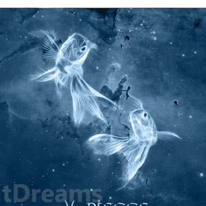 以下が含まれることがあります： 星が散りばめられた空を、2匹の魚が泳いでいる様子を描いた、青い水彩画。魚座の星座を表しています。画像の下部には「DigitDreams Pisces www.etsy.com」というテキストがあります。