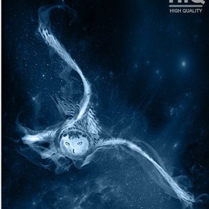 S055b: Owl