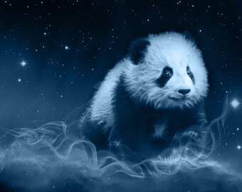 S621: Panda