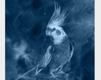 S644: Cockatiel
