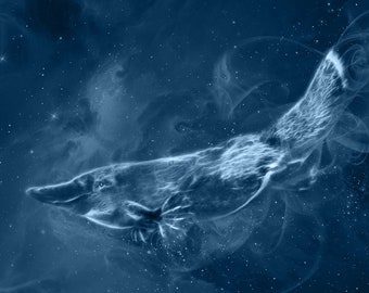 S628: Platypus