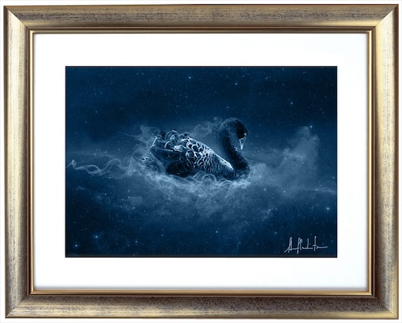 S106: Black Swan - Etsy