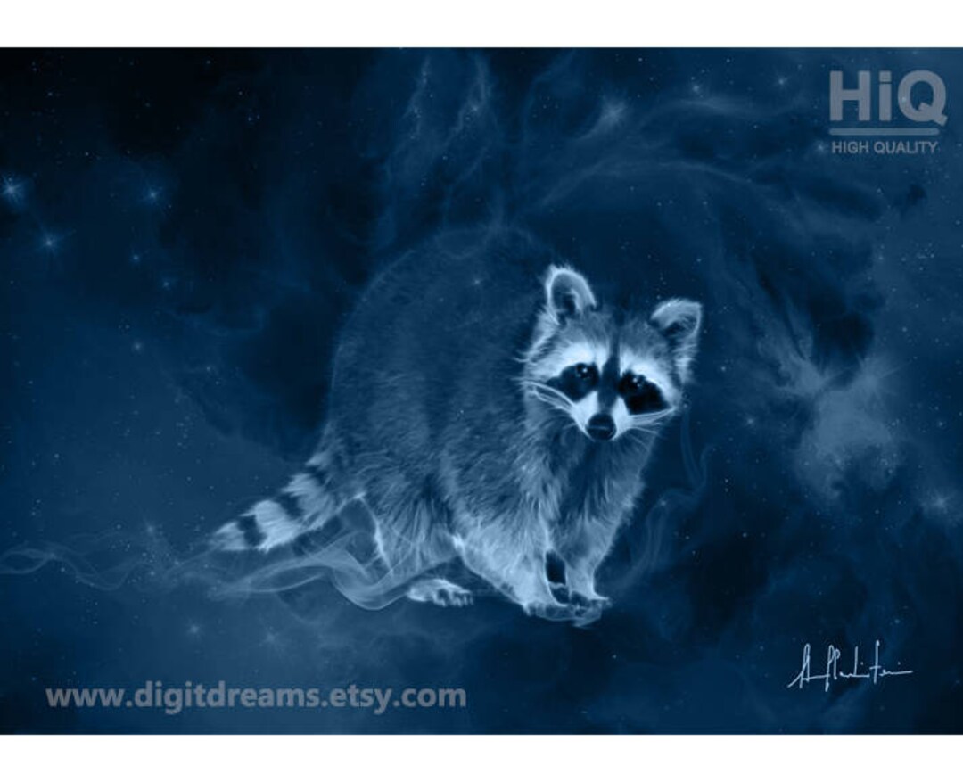 S124: Racoon - Etsy