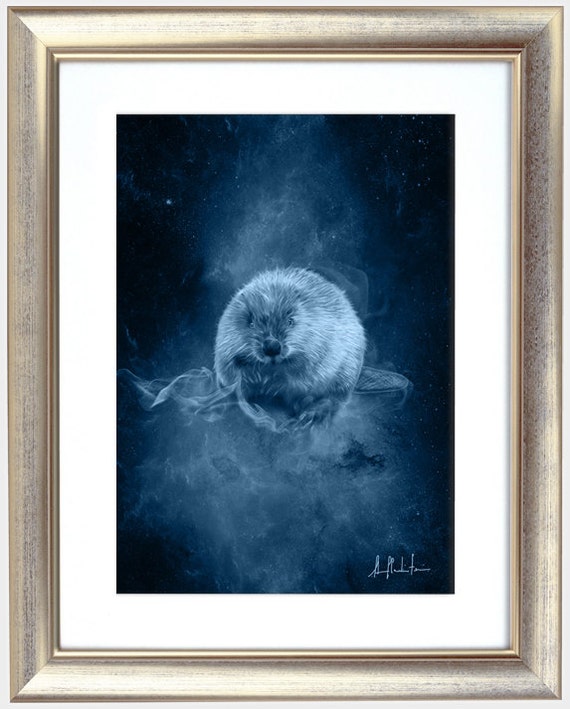 S107: Beaver - Etsy