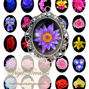 Ef001a: Flowers * frame 30x40mm (1.2x1.6&quot;) * size Letter, 18.5M * resolution HD (300px/cm=762dpi)