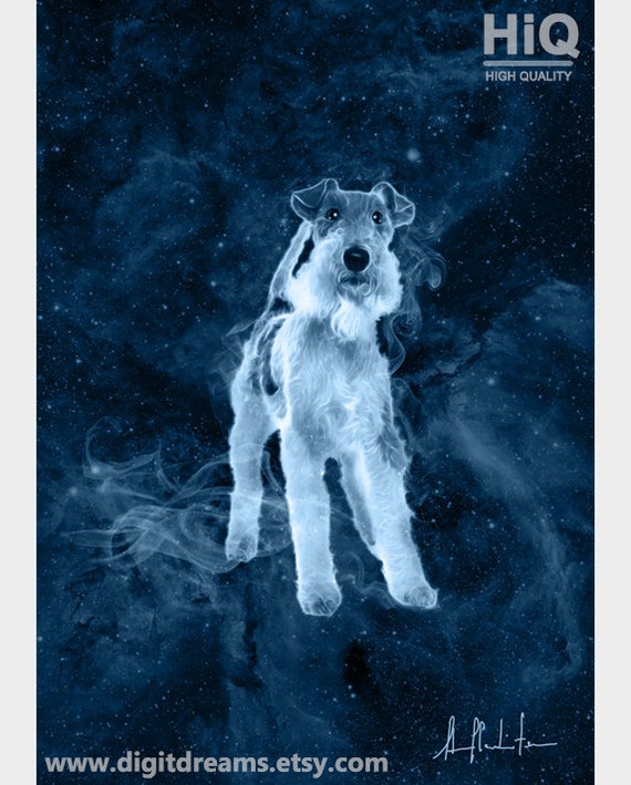 新品　 Hector Fox Terrier 犬　テリア　dog Hector - Fox Terrier - Reserved - Terrier SOS - a UK-based dog rescue