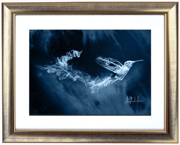 S037: Hummingbird - Etsy