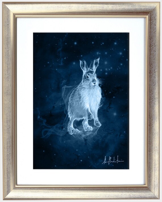 S144: Mountain Hare - Etsy