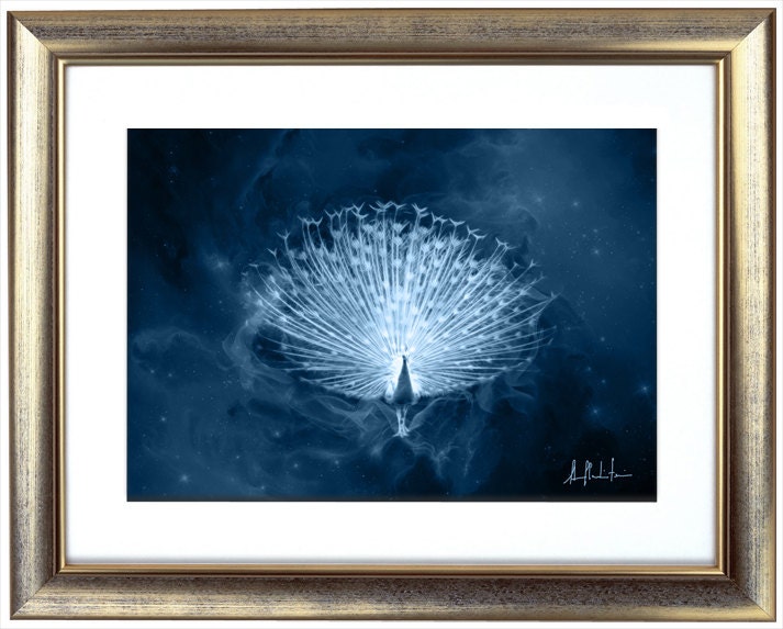 S123: Peacock - Etsy Israel