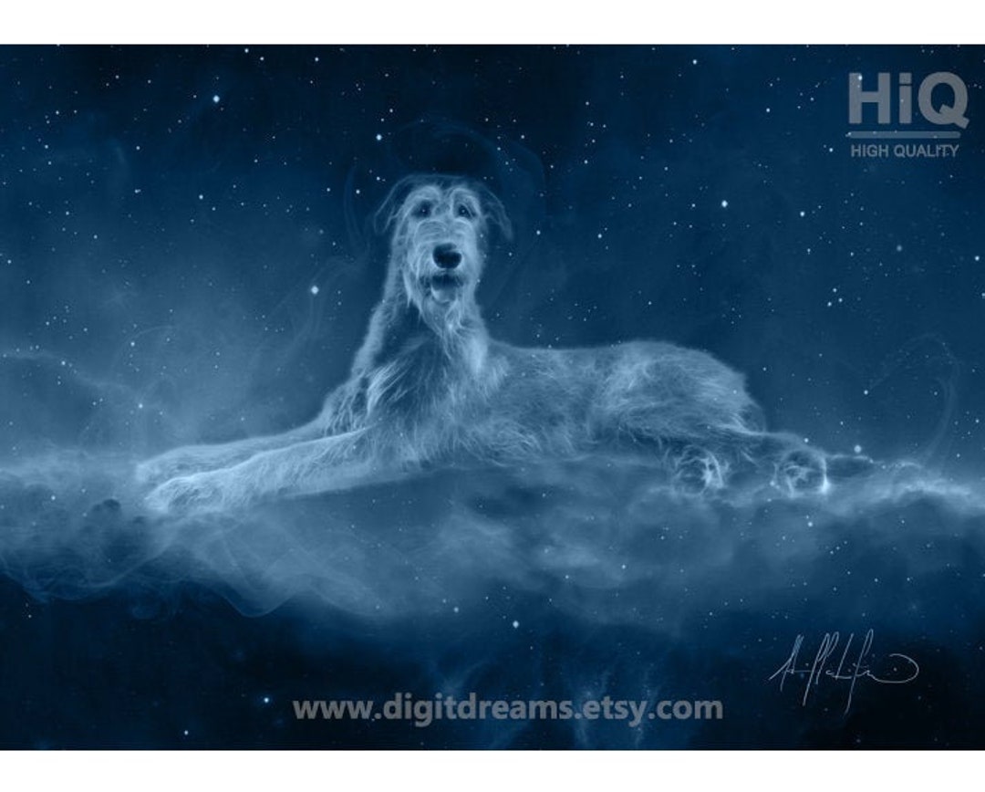 S473: Irish Wolfhound - Etsy