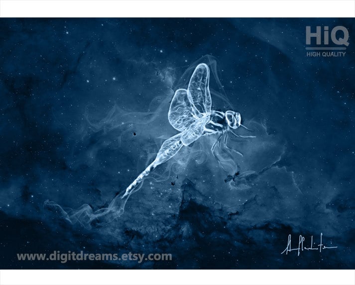 S130: Dragonfly - Etsy
