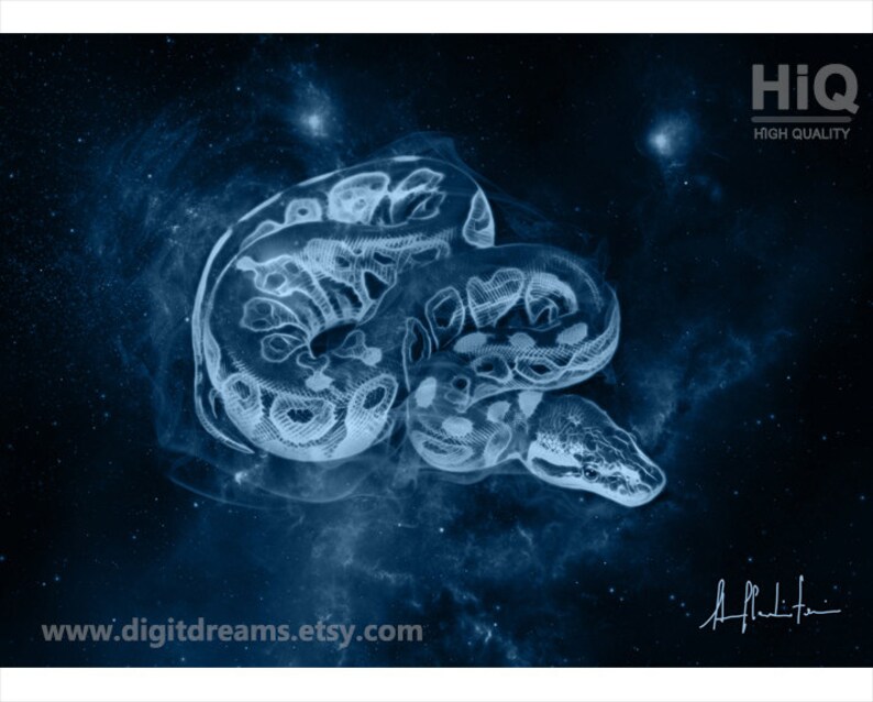 K&ouml;nnte beinhalten: Ein digitaler Kunstdruck eines wei&szlig;en Schlangens vor einem Galaxie-Hintergrund. Die Schlange ist zu einer Kugel zusammengerollt und hat einen schwachen Schein. Der Hintergrund ist dunkelblau mit wei&szlig;en Sternen.