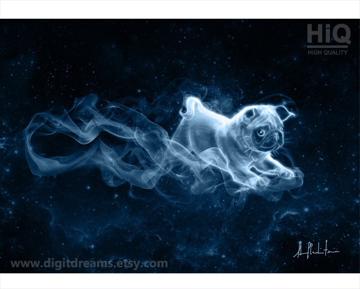 S406: Pug Puppy - Etsy