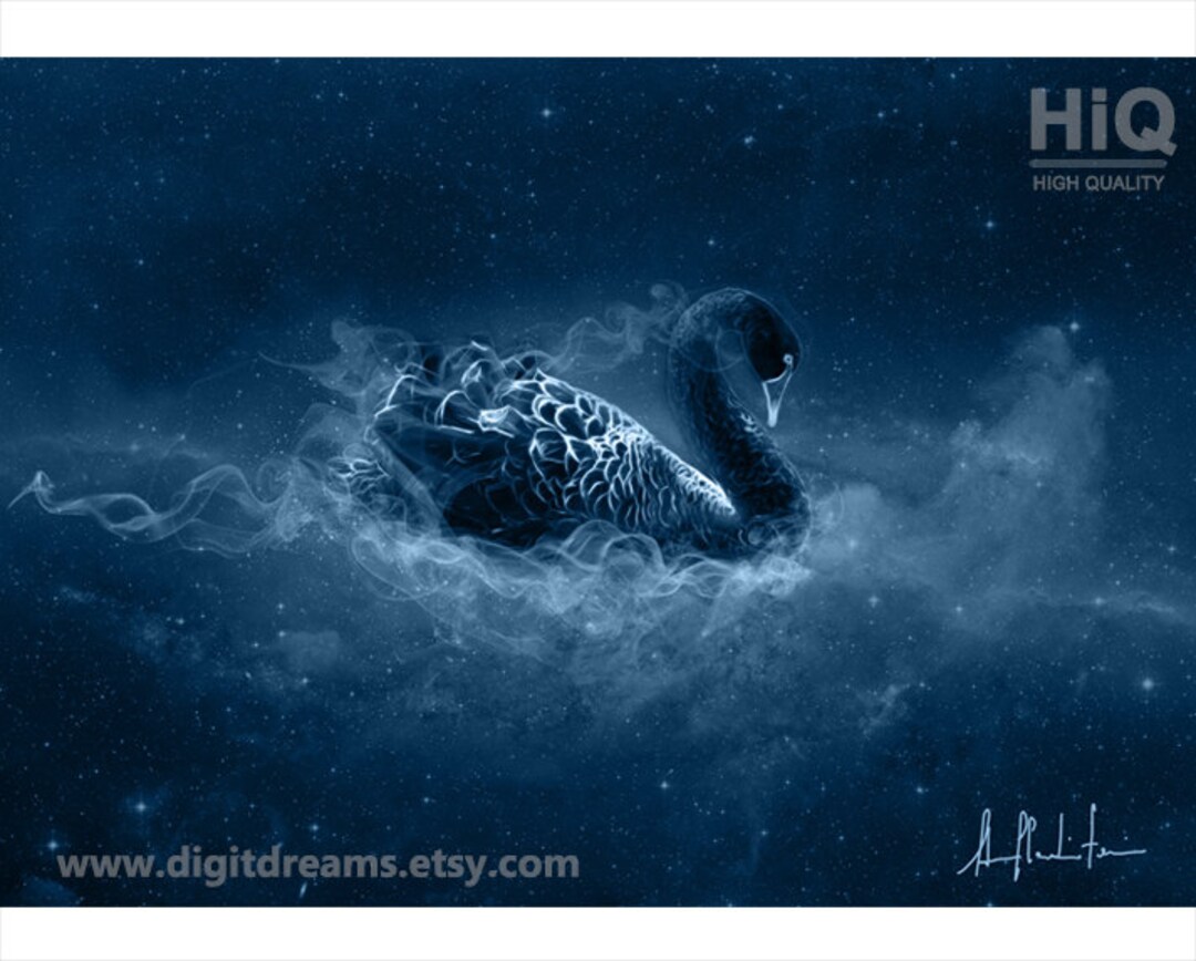 S106: Black Swan - Etsy