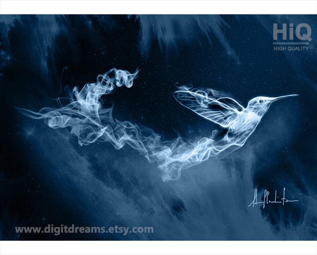 S037: Hummingbird - Etsy