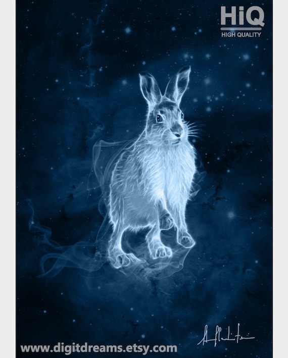 S144: Mountain Hare - Etsy